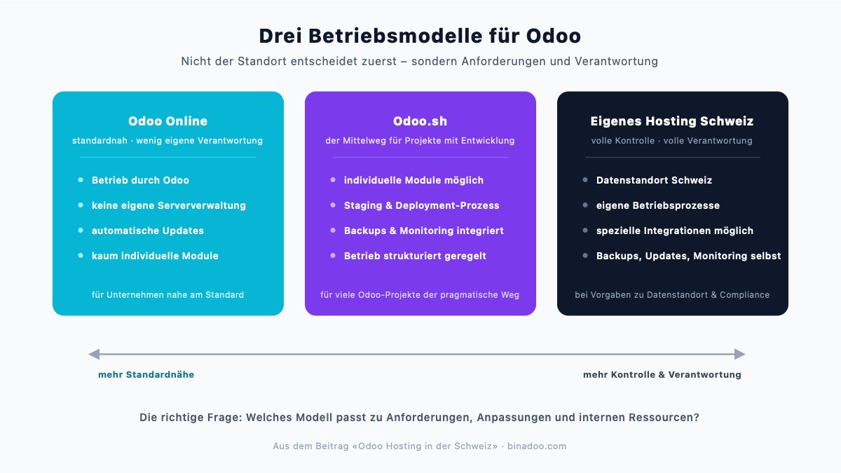 Odoo Hosting in der Schweiz